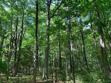 2.6 Ac State Highway 180, Porterfield, WI 54159 - photo 6