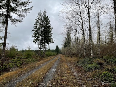 10 xx Oppelt Rd, Onalaska, WA 98570 - photo 2