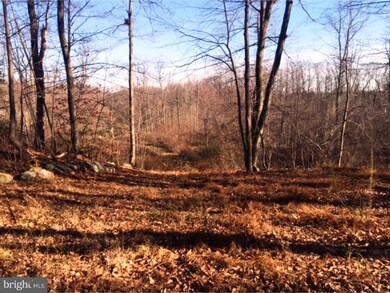 321 Blue Rocks Rd, Lenhartsville, PA 19534 - photo 3