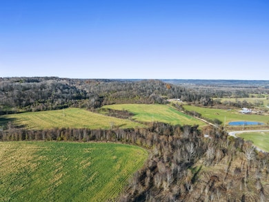 1 Hicks Ln W, Columbia, TN 38401 - photo 2