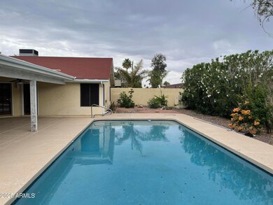 5 backyard east view