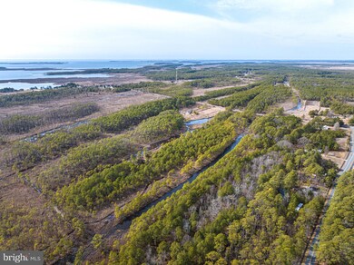 2439 Toddville Rd, Wingate, MD 21675 - photo 6