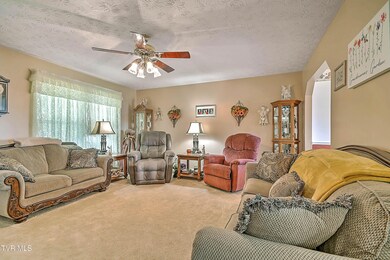 4980 Old Stage Rd, Chuckey, TN 37641 - photo 5