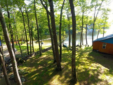 22 Spring Cove Ln Pleasant Pond03