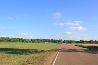 IMG_4338