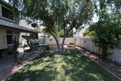 Back Yard 2