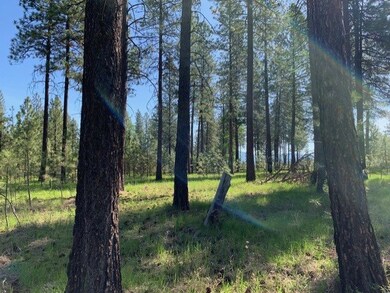 XXXX N Hatch Ln, Spokane, WA 99005 - photo 5