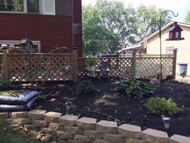 Carol's garden