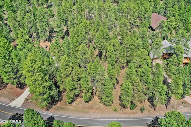 3781 Griffiths Spring unit 451, Flagstaff, AZ 86015 - photo 4