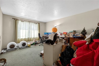 1310 Lindenwood Dr, Lorain, OH 44053 - photo 6