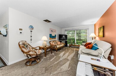 2700 Bayshore Blvd unit 4106, Dunedin, FL 34698 - photo 6