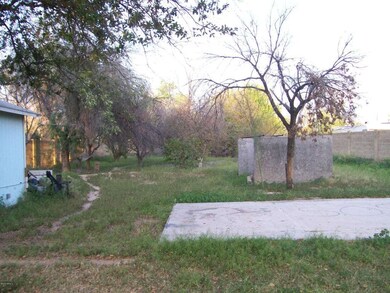 Backyard2