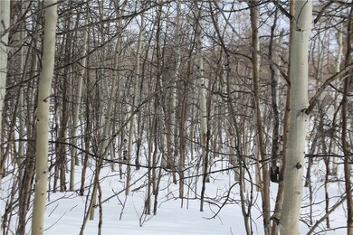 64 Rhea Rd, Como, CO 80432 - photo 7