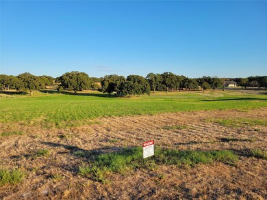 4004 Margaret's Meadow, Weatherford, TX 76087 - photo 2