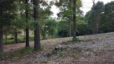 Tract 7 Clarks Station Rd, Siloam Springs, AR 72761 - photo 4