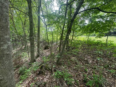 0 Davidson Rd, Burkesville, KY 42717 - photo 7