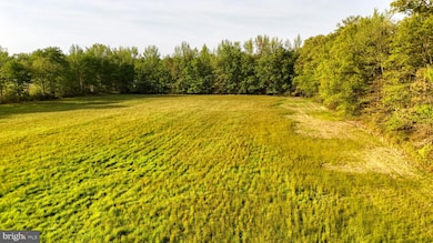 0 Bushmill Ln unit DEKT2027864, Clayton, DE 19938 - photo 5