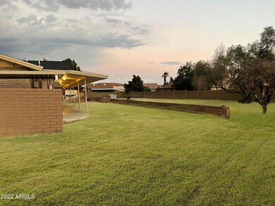2 back yard