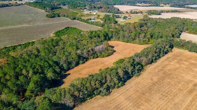 Hardwoods & Fields