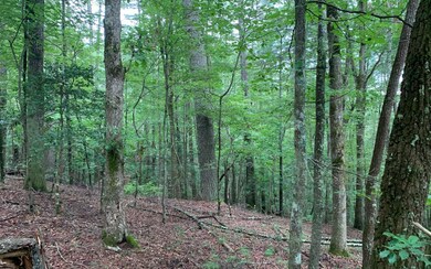 Additional View