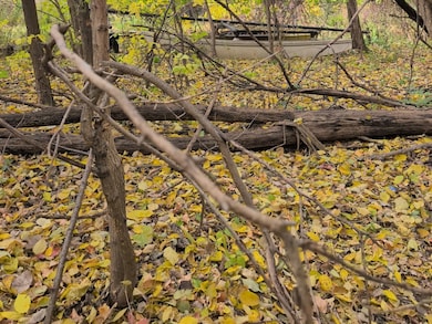 1213 W Park Front St, Joliet, IL 60436 - photo 5