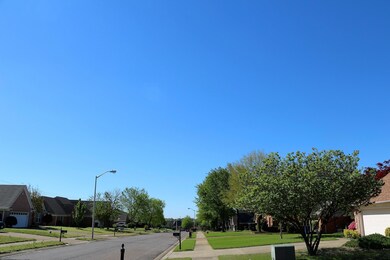 IMG_3408 (3)