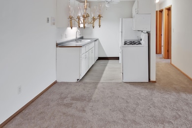 1321 W Main St unit 311A, Lake Geneva, WI 53147 - photo 5