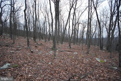 Lot 88 Wakeman Dr, Augusta, WV 26704 - photo 6