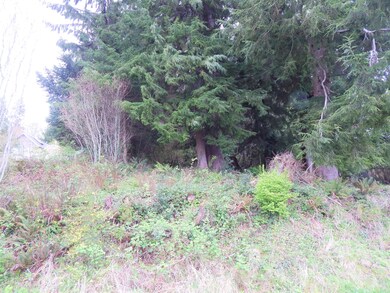 DSCN1957 (2)