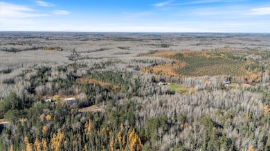 6457 Colombe Rd, Chisholm, MN 55719 - photo 7