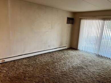 9721 S Cicero Ave unit 1C, Oak Lawn, IL 60453 - photo 4