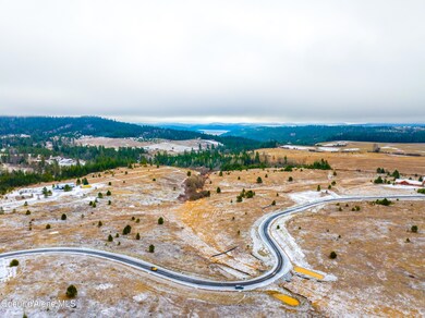DJI_20231209014349_0648_D-HDR