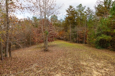 85 County Road 3217, Haleyville, AL 35565 - photo 7