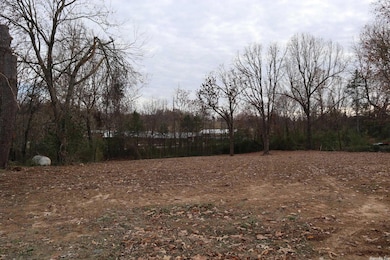 330 S Main St, Salem, AR 72576 - photo 2