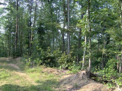 0 Old Stage Coach Rd unit 750408, Rutledge, TN 37861 - photo 5