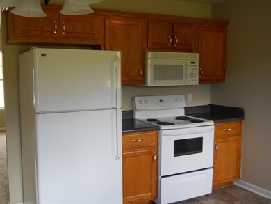 308 Cottonwood Dr, Shelbyville, TN 37160 - photo 4