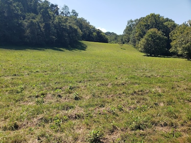 0 St John Hollow Rd unit RTC2981969, Woodbury, TN 37190 - photo 7