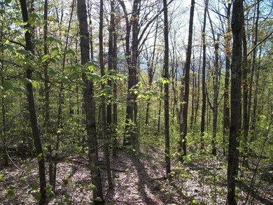 21C Pegwood, Campton, NH 03223 - photo 4