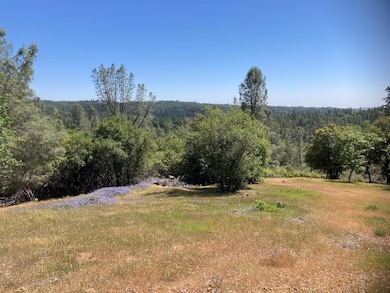 16688 Sonshine Ln, Sutter Creek, CA 95685 - photo 6