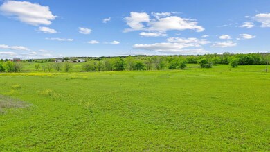 1042 Dominique Dr, Weatherford, TX 76087 - photo 5