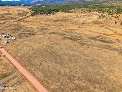 Lot 23 the Ranch at Alpine unit 23, Alpine, AZ 85920 - photo 4