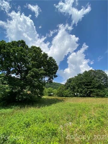 99999 Tweed Rd, Leicester, NC 28748 - photo 7