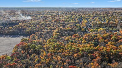 012_photo_nov_07_2025_3_18_50_pm_694