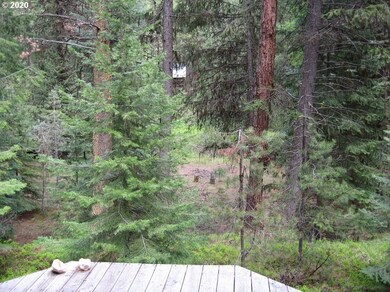 39504 Pinus Crk Loop, Sumpter, OR 97877 - photo 4