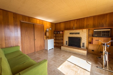 Fireplace and built-ins