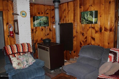 845 W Lincoln St, Brohman, MI 49312 - photo 4