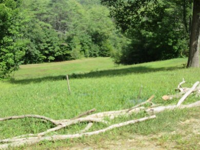 Side yard -