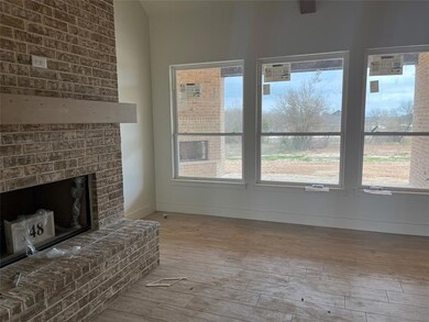 148 Tobiano Trace, Brock, TX 76087 - photo 5