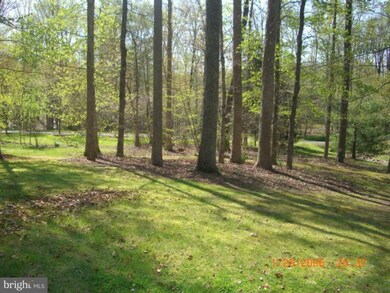 7205 Bloomsbury Ln, Spotsylvania, VA 22553 - photo 5