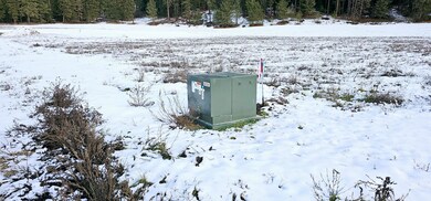 1707 Hwy 395 S, Chewelah, WA 99109 - photo 4